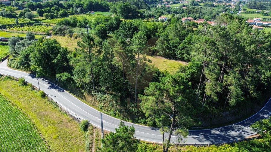 Terreno para Venda em Bárrio e Cepões Foto 4