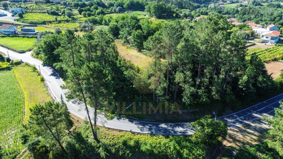 Terreno para Venda em Bárrio e Cepões Foto 5