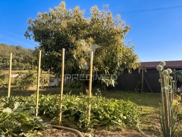 Moradia T6 para Venda em Vale (São Cosme), Telhado e Portela