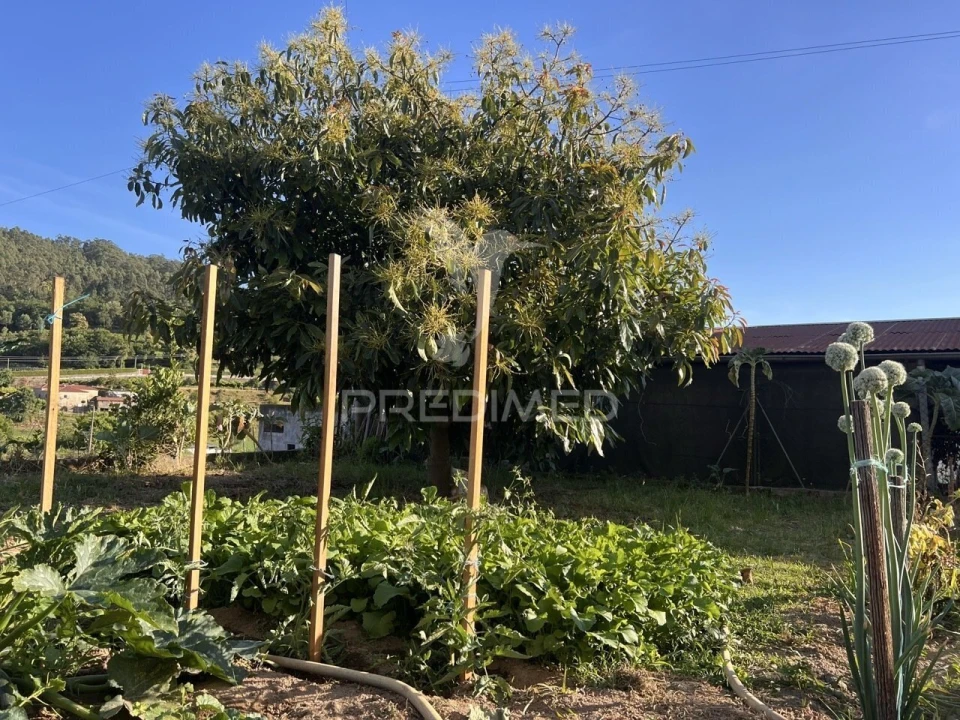 Moradia T6 para Venda em Vale (São Cosme), Telhado e Portela Foto 37