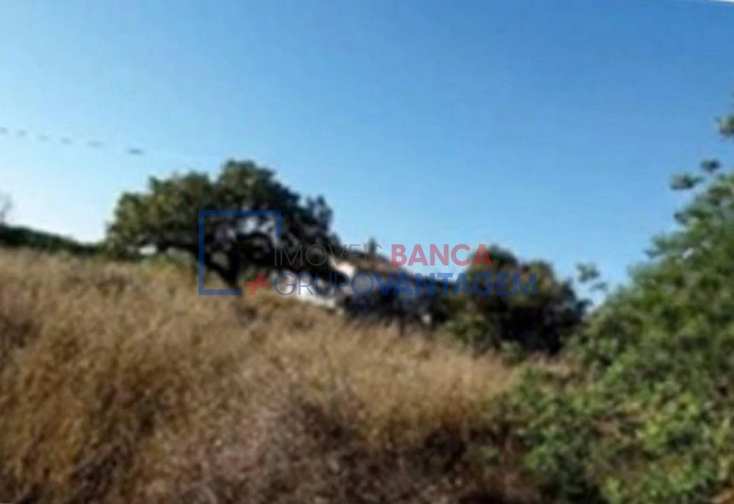 Negócio para Venda em Tavira (Santa Maria e Santiago) Foto 6