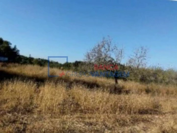 Negócio para Venda em Tavira (Santa Maria e Santiago)