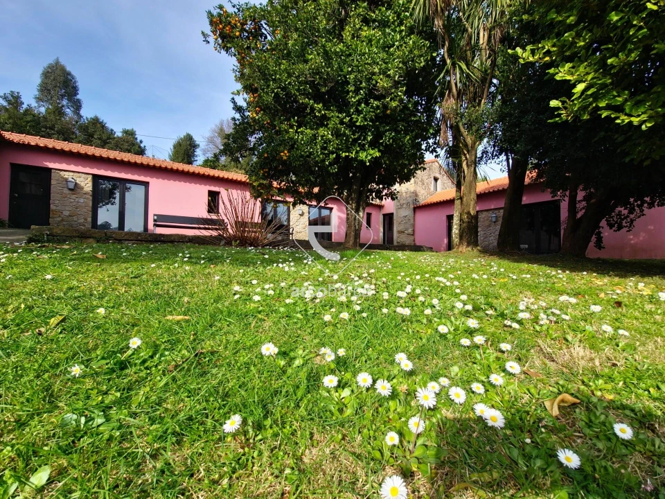 Quinta T5 para Venda em Formariz e Ferreira Foto 3