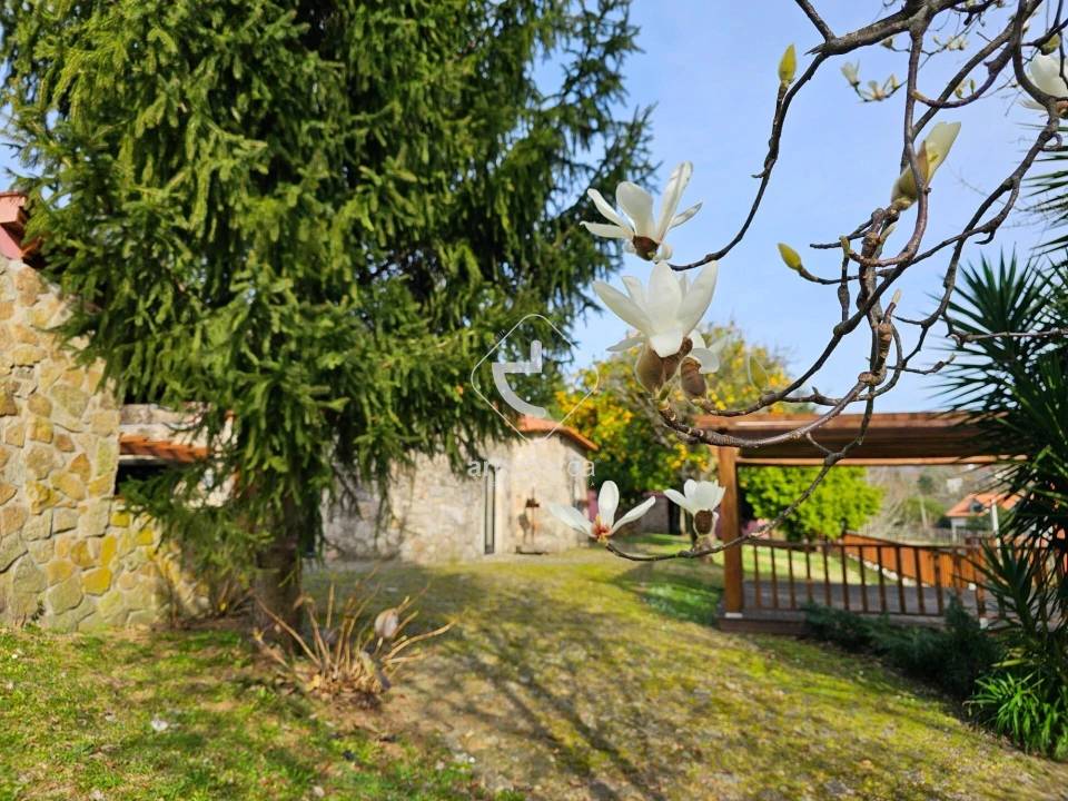 Quinta T5 para Venda em Formariz e Ferreira Foto 41