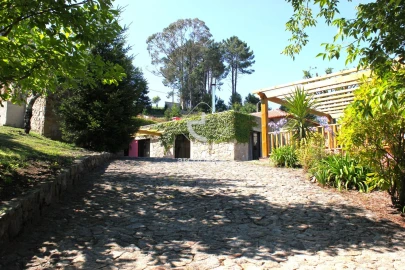 Quinta T5 para Venda em Formariz e Ferreira