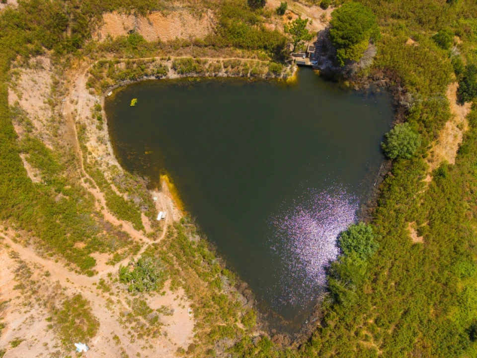 Terreno para Venda em Budens Foto 7