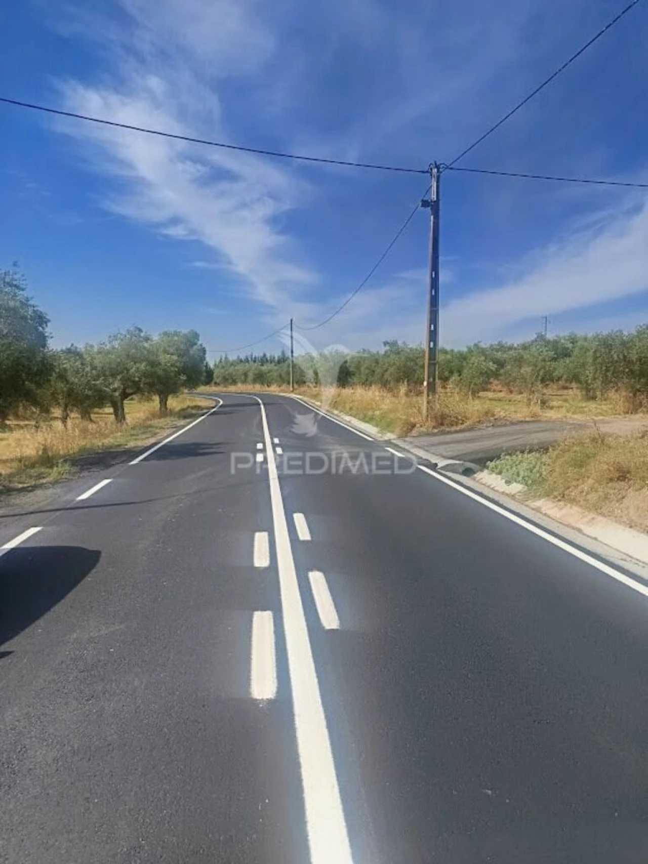 Terreno para Venda em São João Baptista Foto 8
