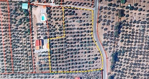 Terreno para Venda em São João Baptista