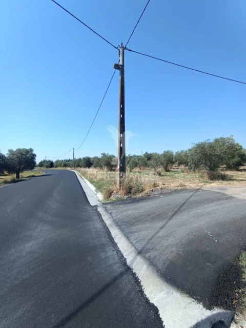 Terreno para Venda em São João Baptista