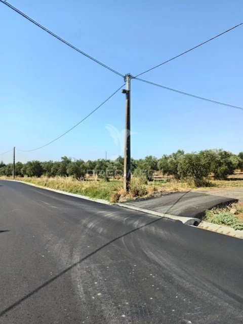 Terreno para Venda em São João Baptista