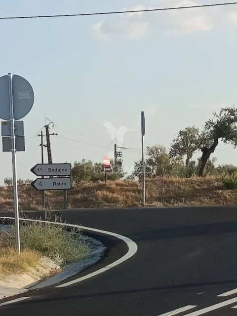 Terreno para Venda em São João Baptista