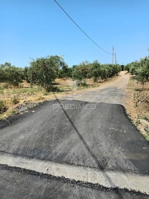 Terreno para Venda em São João Baptista
