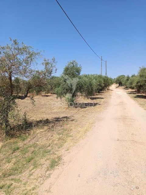 Terreno para Venda em São João Baptista