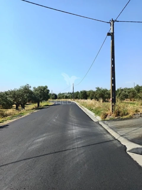 Terreno para Venda em São João Baptista