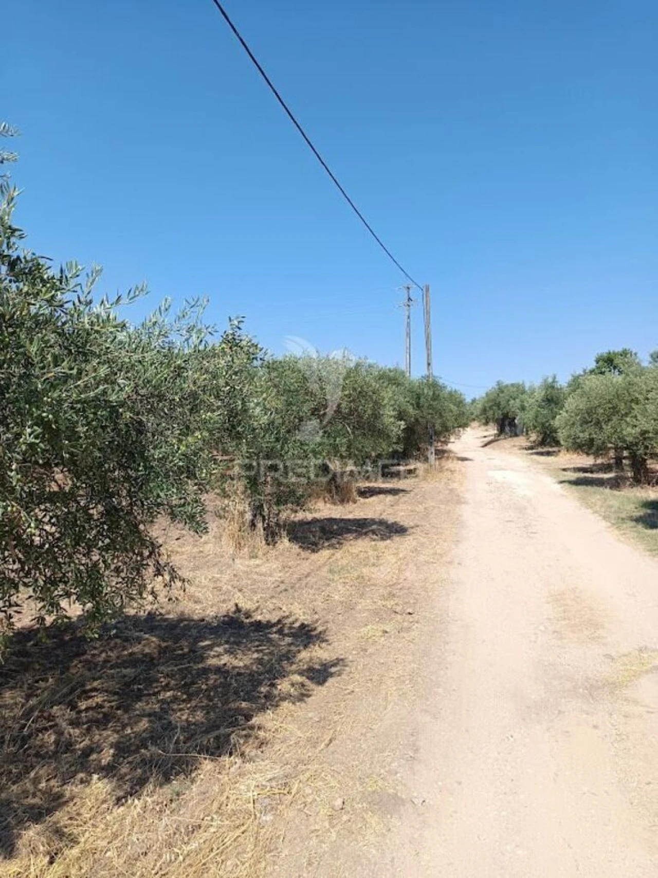 Terreno para Venda em São João Baptista Foto 1