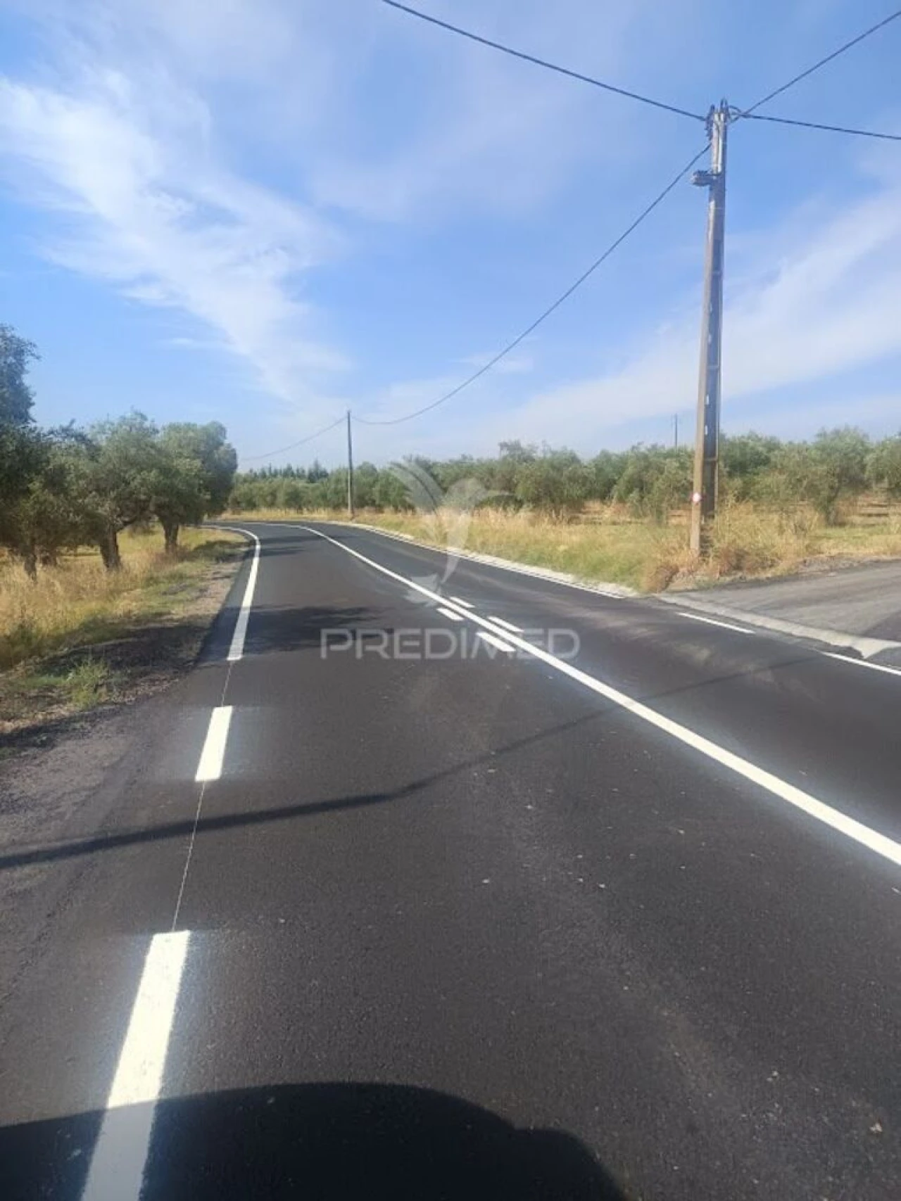 Terreno para Venda em São João Baptista Foto 16