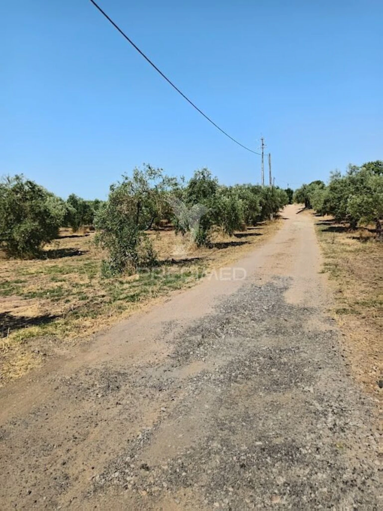 Terreno para Venda em São João Baptista Foto 12