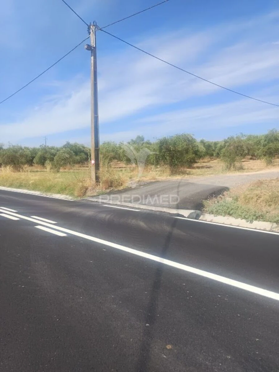 Terreno para Venda em São João Baptista Foto 2