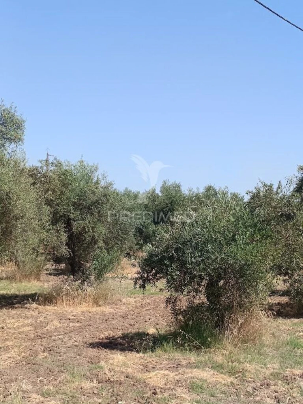 Terreno para Venda em São João Baptista Foto 2
