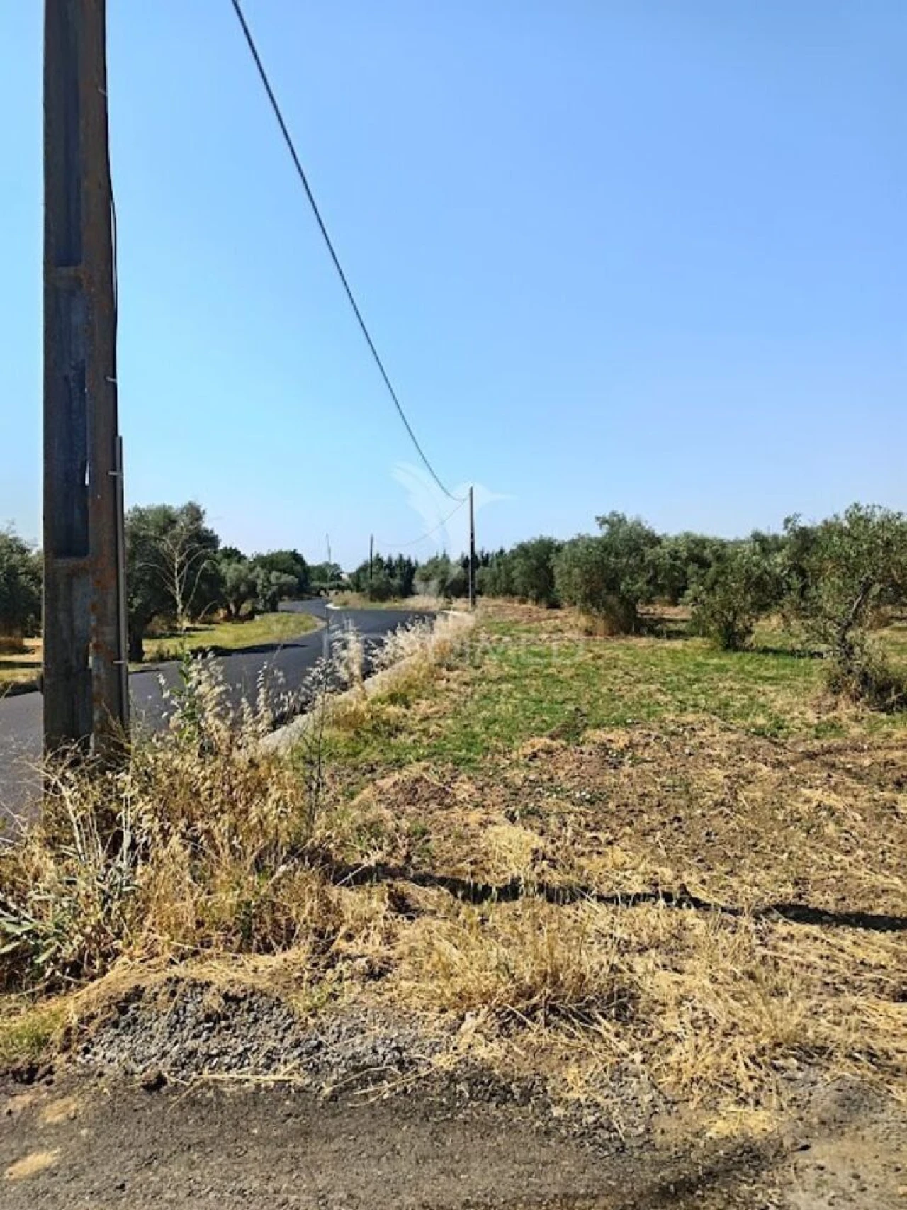 Terreno para Venda em São João Baptista Foto 11