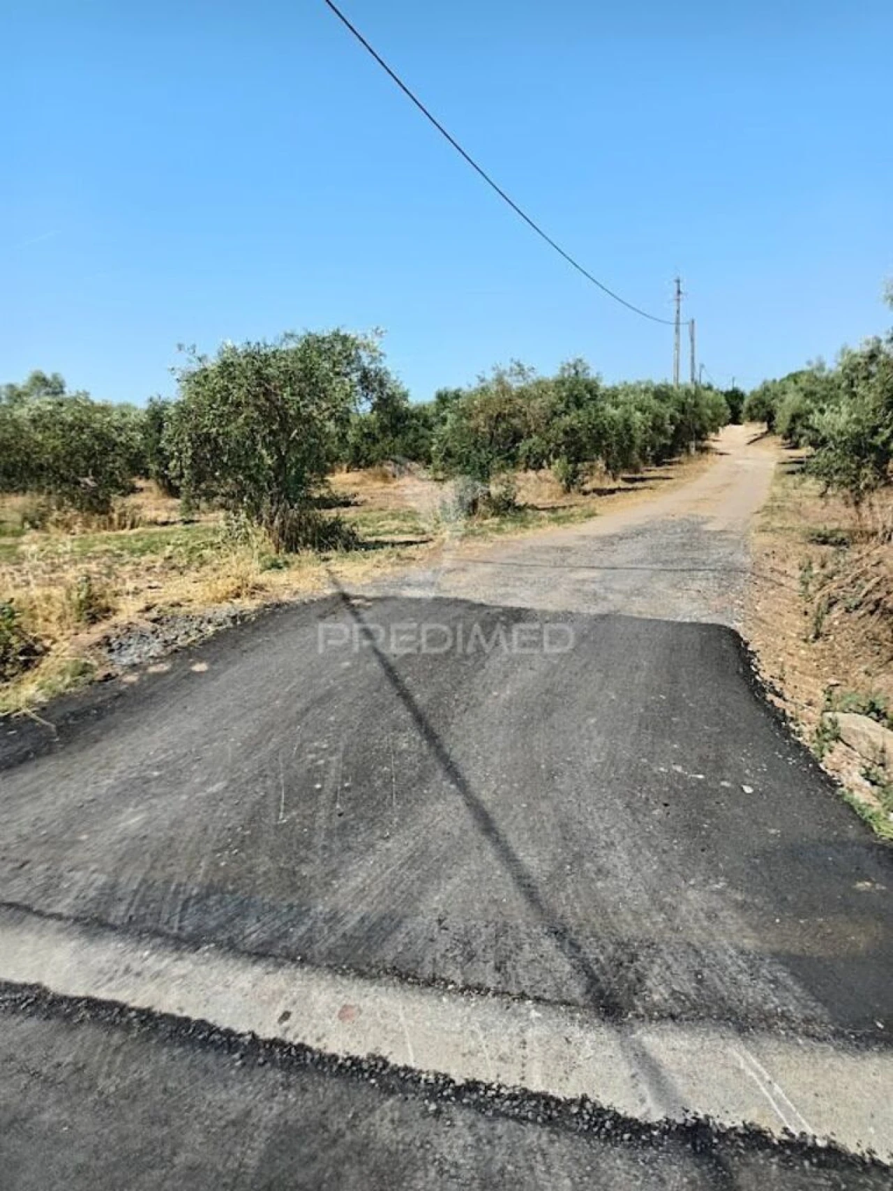 Terreno para Venda em São João Baptista Foto 10
