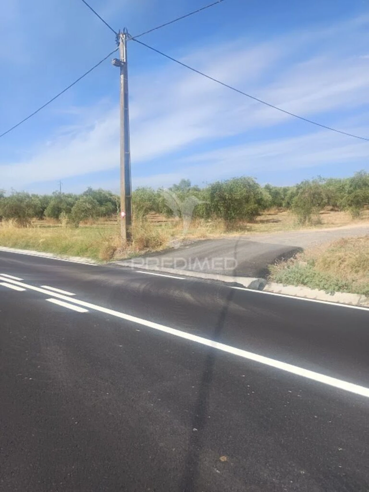 Terreno para Venda em São João Baptista Foto 2