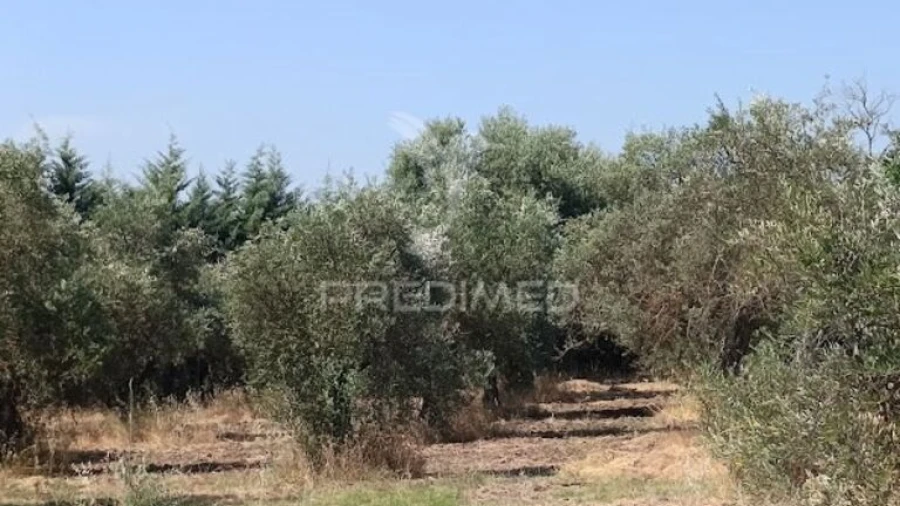 Terreno para Venda em São João Baptista