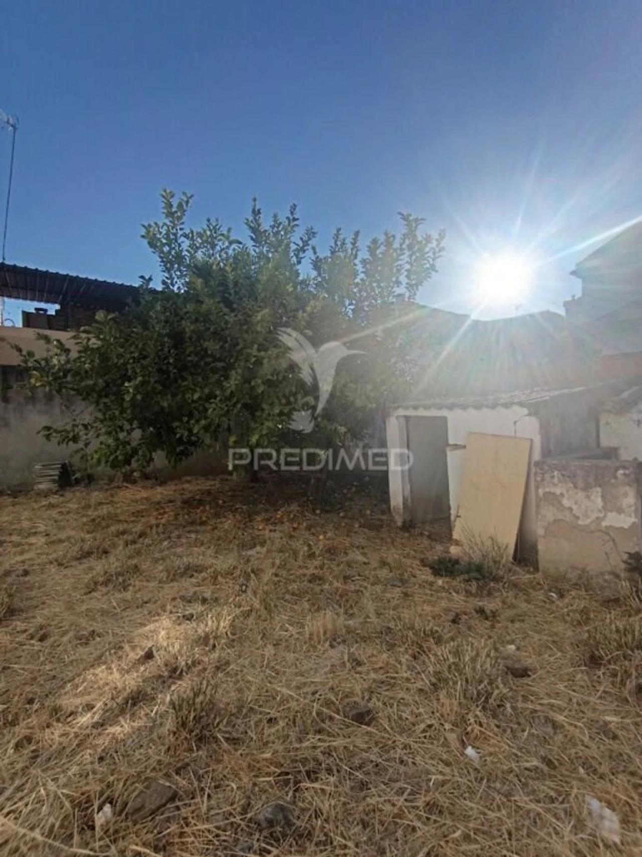 Terreno para Venda em São João Baptista Foto 11