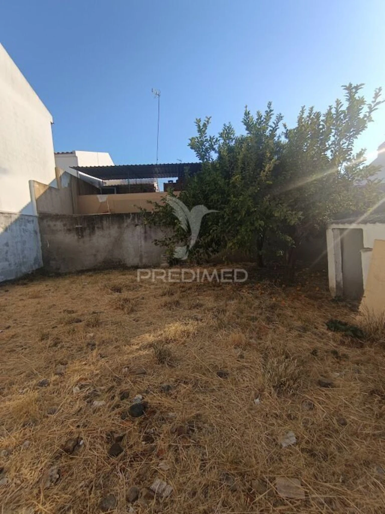 Terreno para Venda em São João Baptista Foto 8