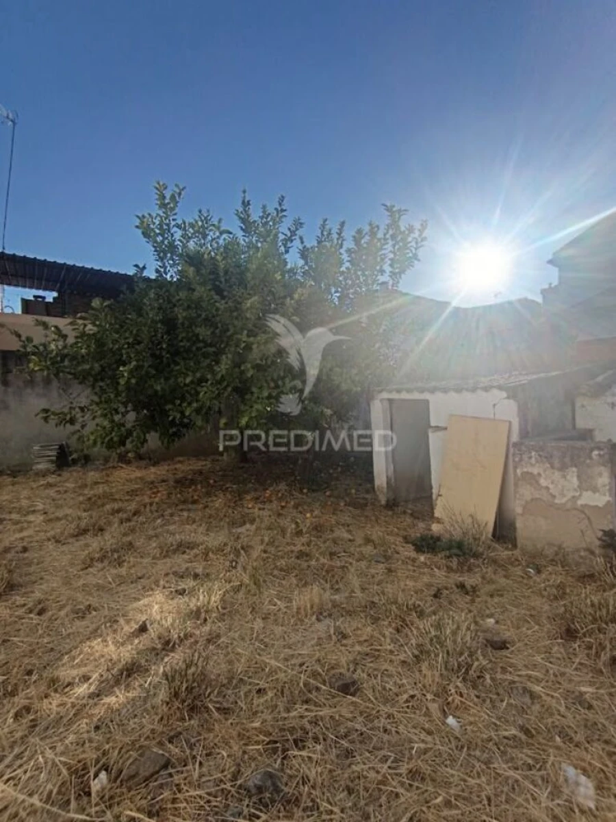 Terreno para Venda em São João Baptista Foto 11