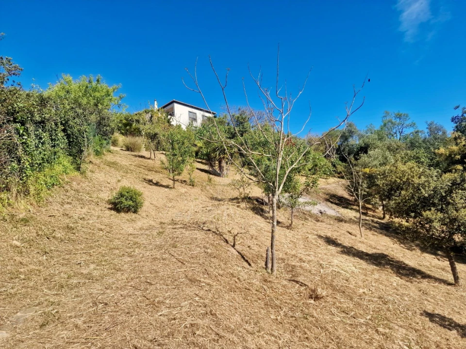 Moradia T3 para Venda em Santa Catarina da Fonte do Bispo Foto 33