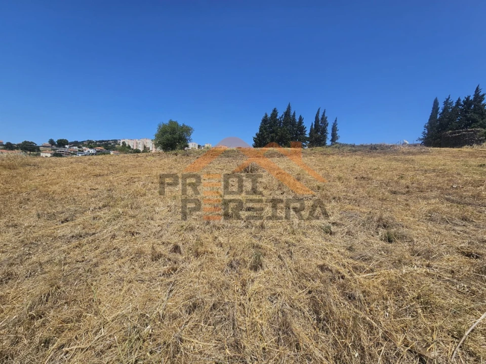 Terreno Agricola ou Rústico para Venda em Ramada e Caneças Foto 16