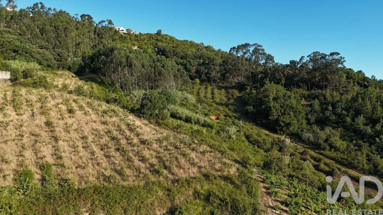 Terreno para Venda em Mafra Foto 19