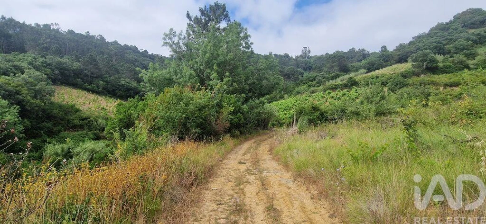 Terreno para Venda em Mafra Foto 1