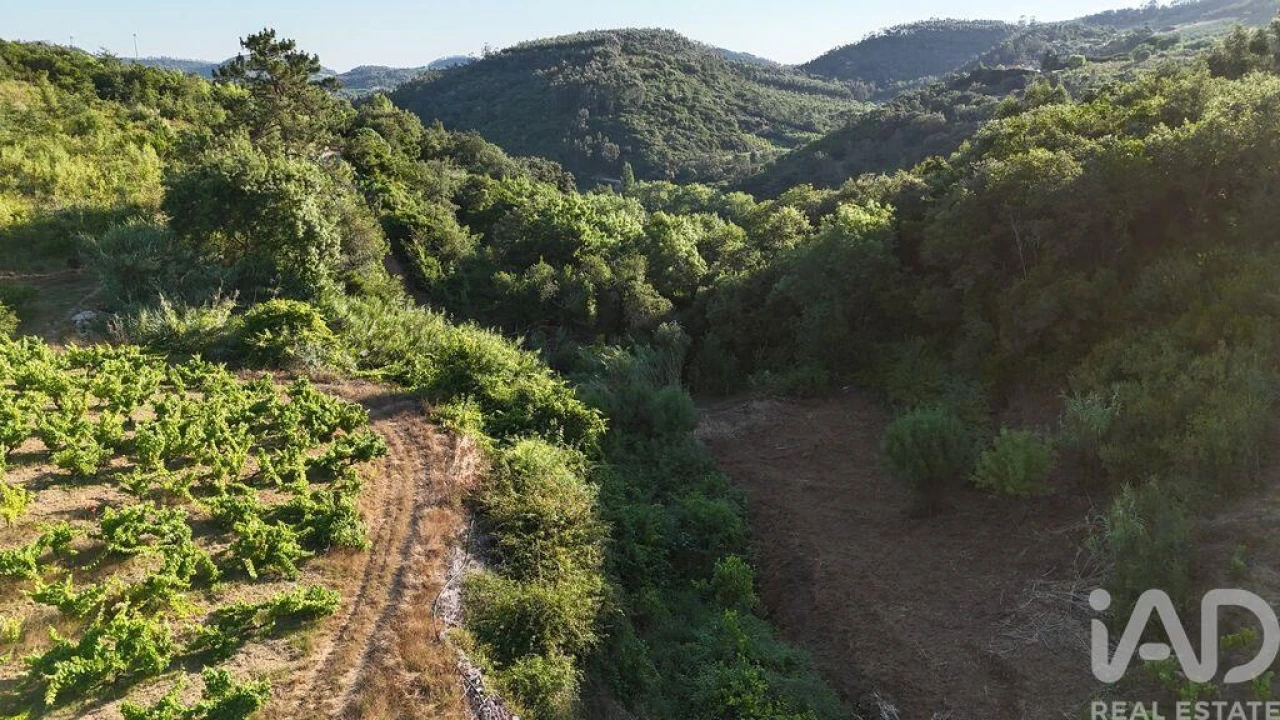 Terreno para Venda em Mafra Foto 22