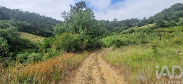 Terreno para Venda em Mafra
