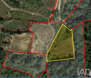 Terreno para Venda em Mafra