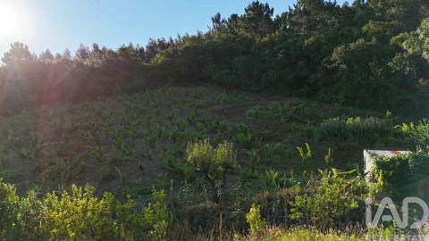 Terreno para Venda em Mafra
