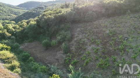 Terreno para Venda em Mafra