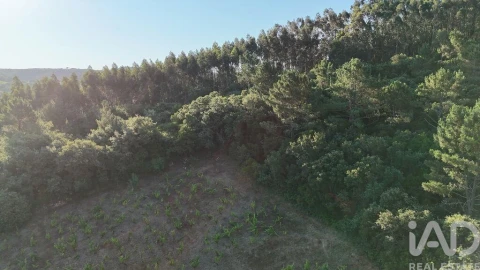 Terreno para Venda em Mafra