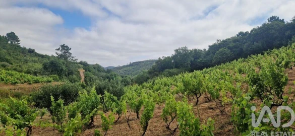 Terreno para Venda em Mafra