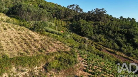 Terreno para Venda em Mafra