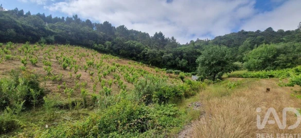 Terreno para Venda em Mafra