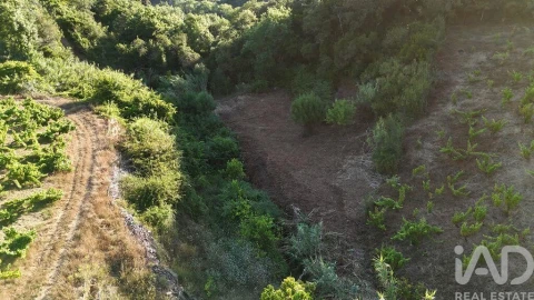 Terreno para Venda em Mafra