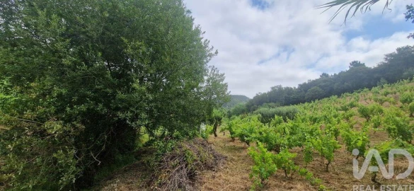 Terreno para Venda em Mafra