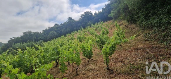 Terreno para Venda em Mafra