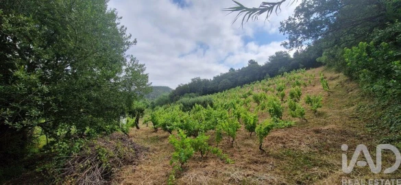 Terreno para Venda em Mafra