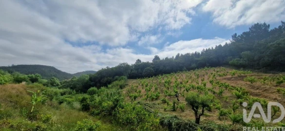 Terreno para Venda em Mafra