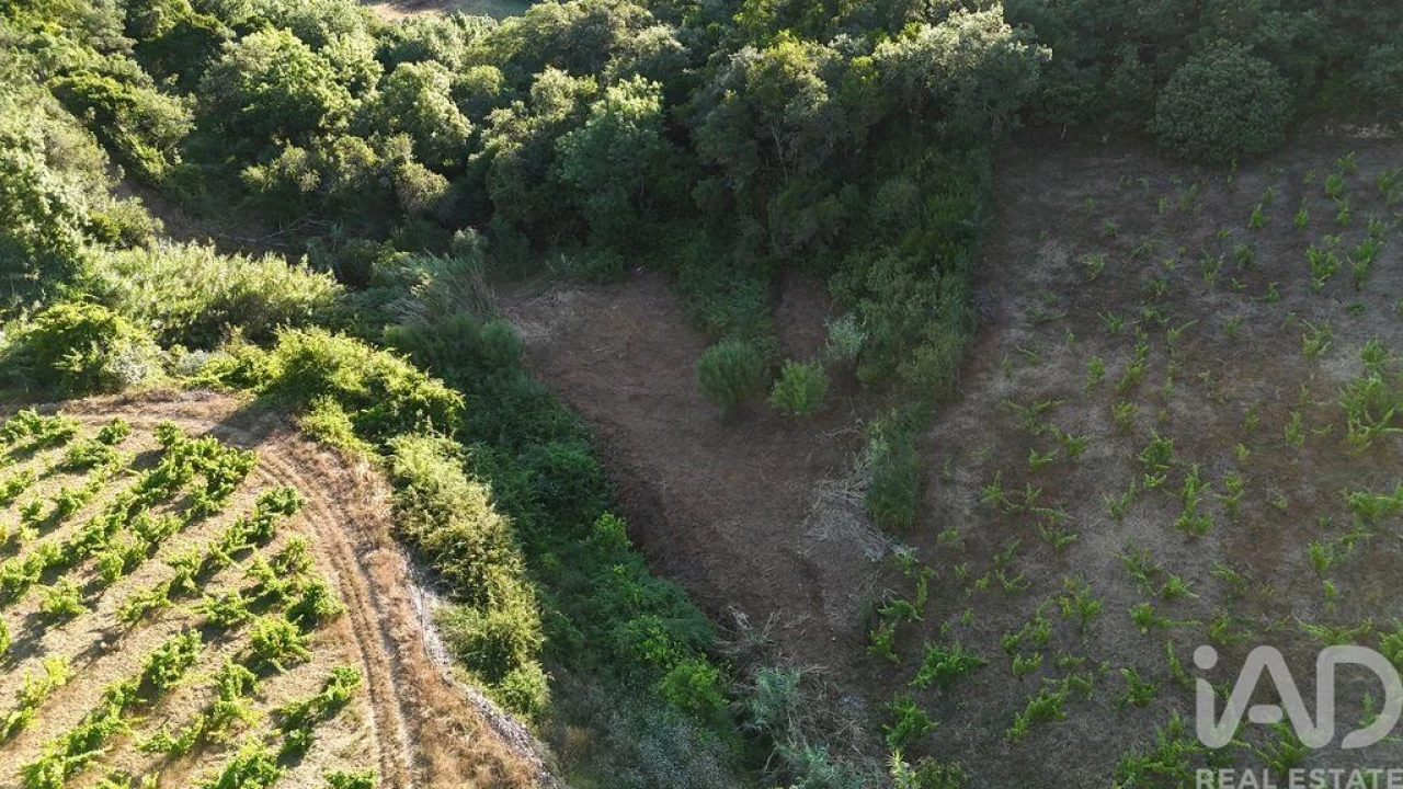 Terreno para Venda em Mafra Foto 20