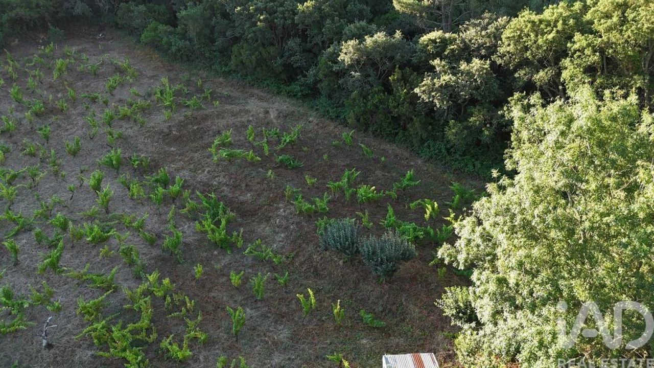 Terreno para Venda em Mafra Foto 15